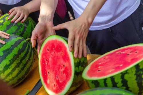 郑州吃瓜学院,揭秘城市美食背后的故事与传奇 第2张 郑州吃瓜学院,揭秘城市美食背后的故事与传奇 第2张